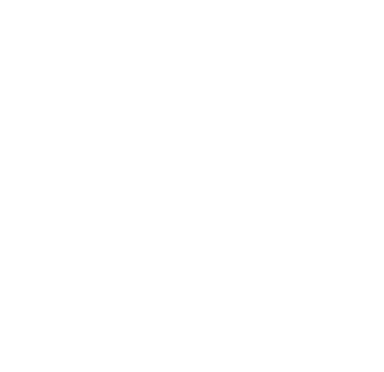 logo AriMayi